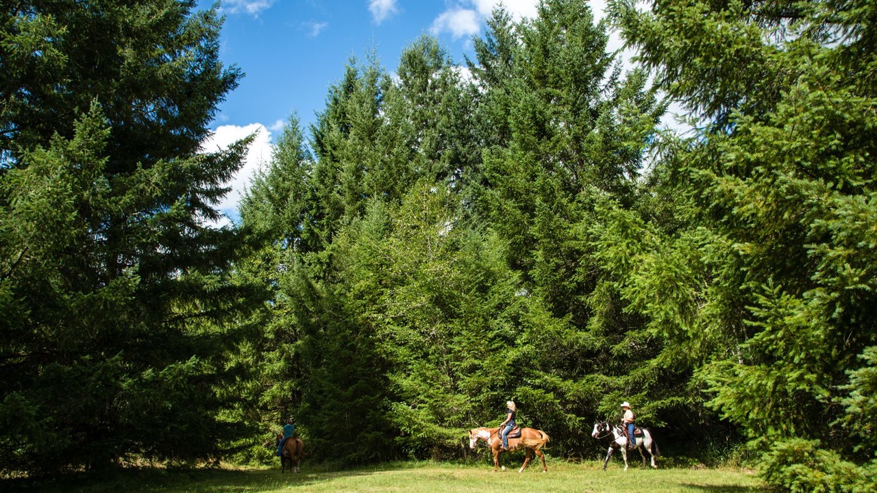 Photo of Others in Centralia - Chehalis