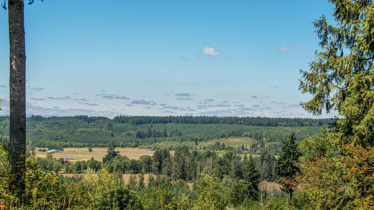 Photo of Others in Centralia - Chehalis