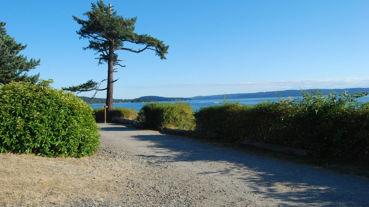 Photo of Outdoor in La Conner