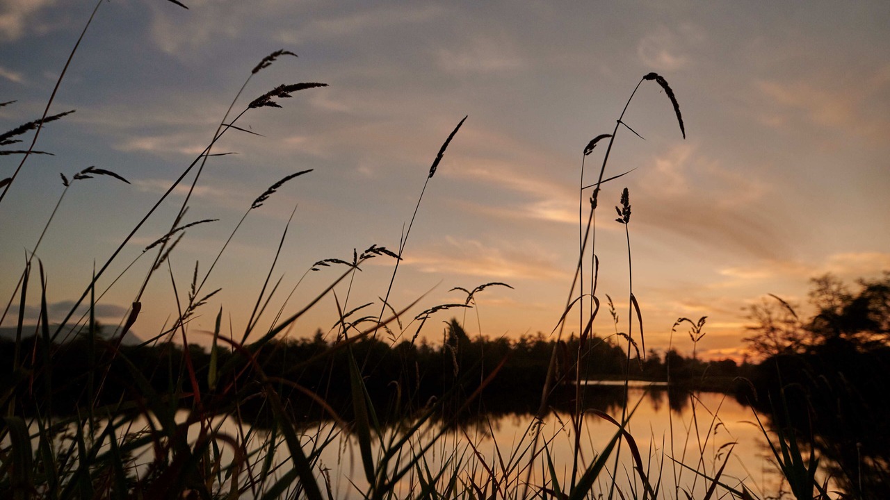 Photo of Outdoor in Seaside