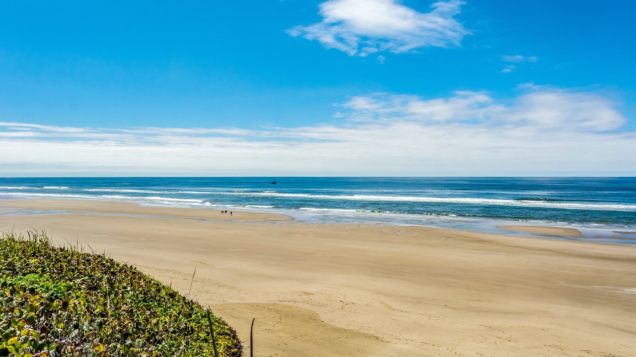 Photo of Outdoor in South Beach