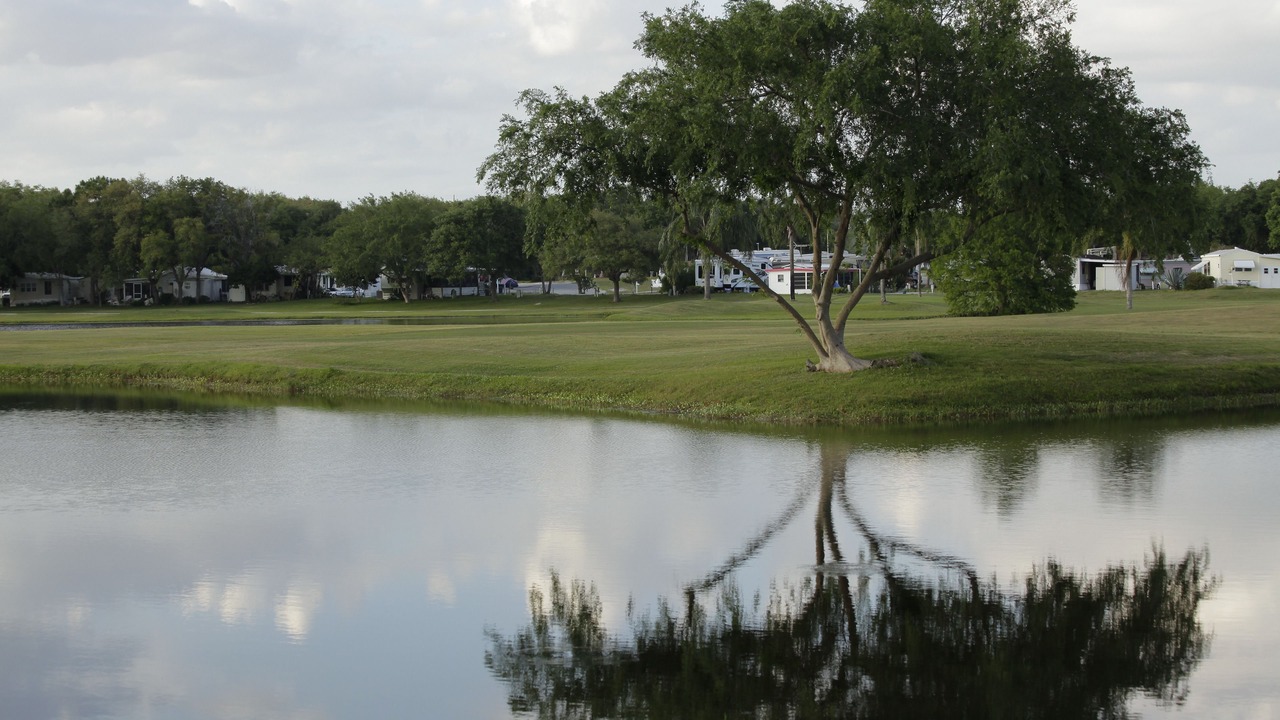 Photo of Others in Clermont