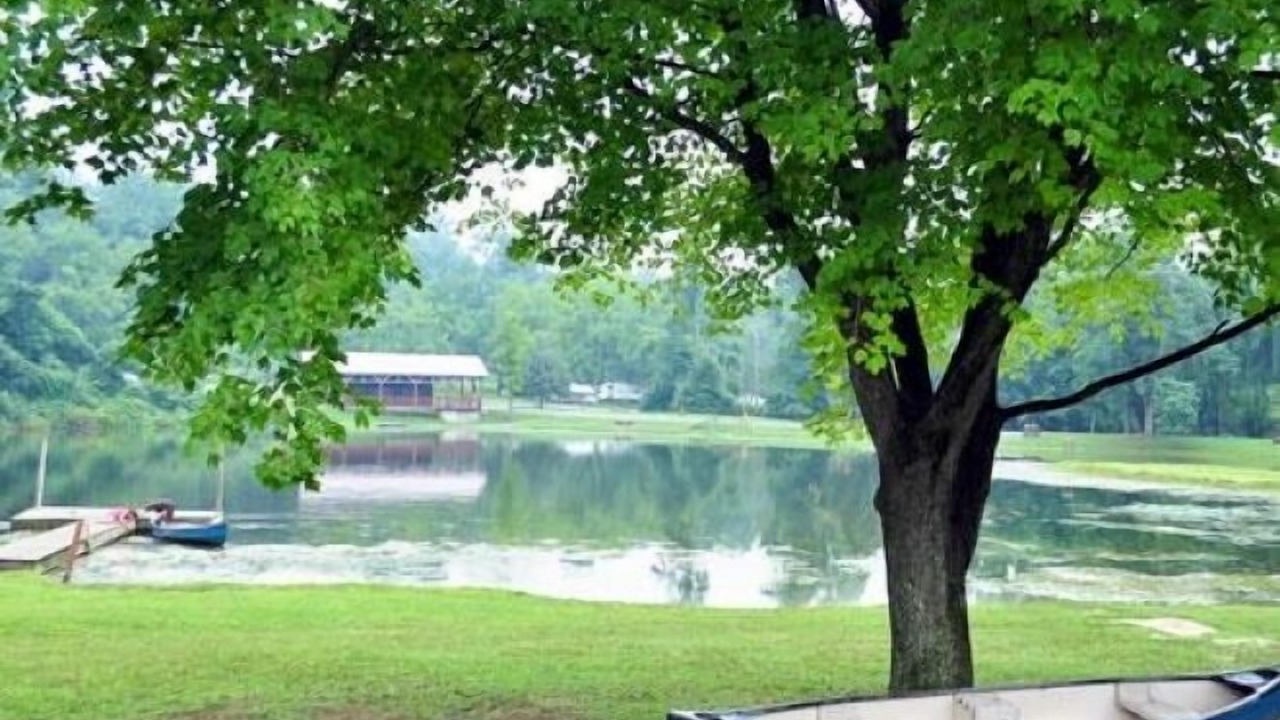 Photo of Others in Lebanon - Pine Grove