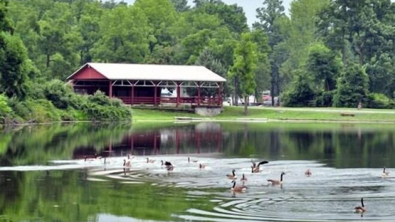 Photo of Outdoor in Lebanon - Pine Grove