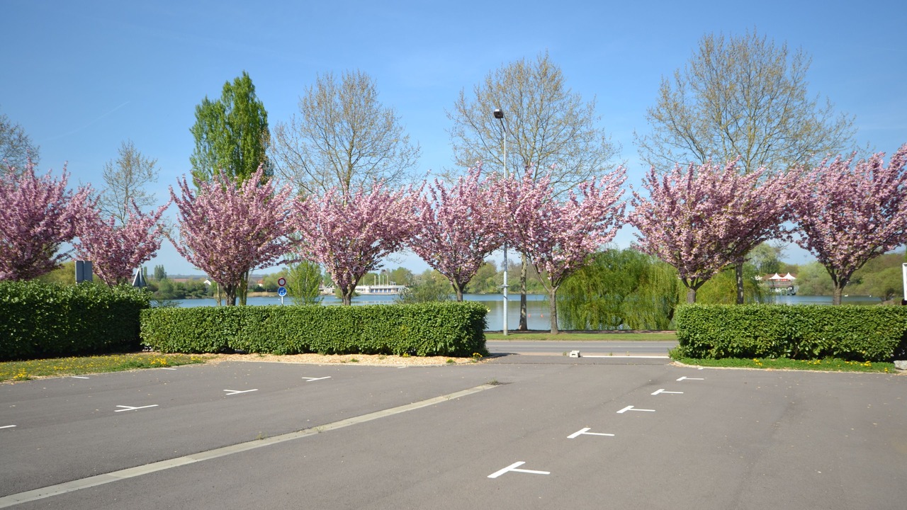 Photo of Others in Hagondange