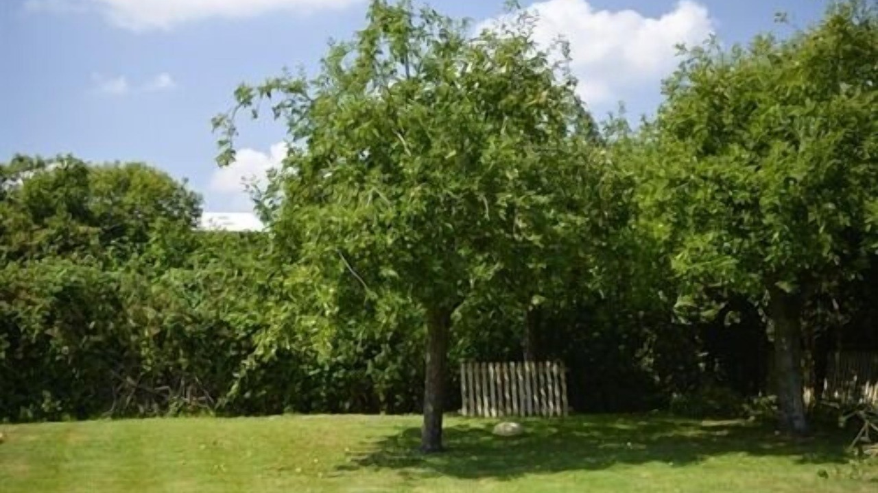 Photo of Outdoor in Hurley