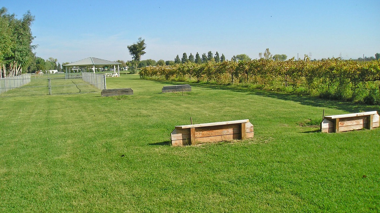 Photo of Outdoor in Nicolaus
