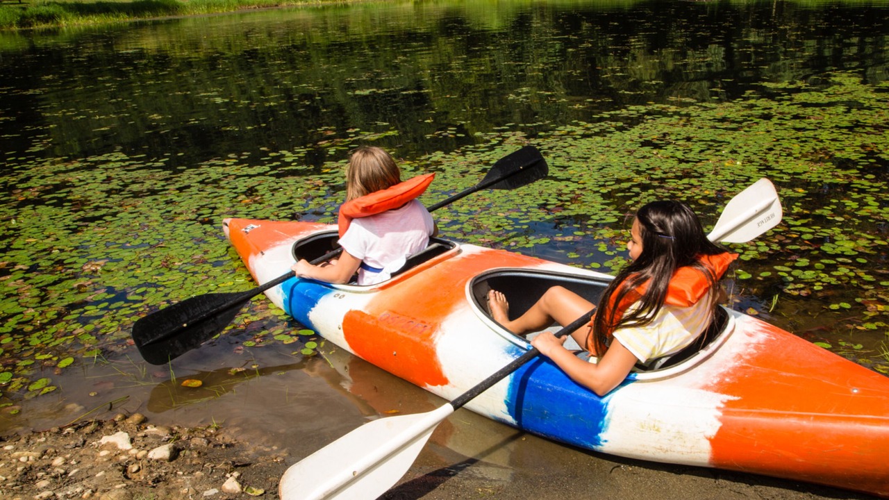 Photo of Others in Silver Creek