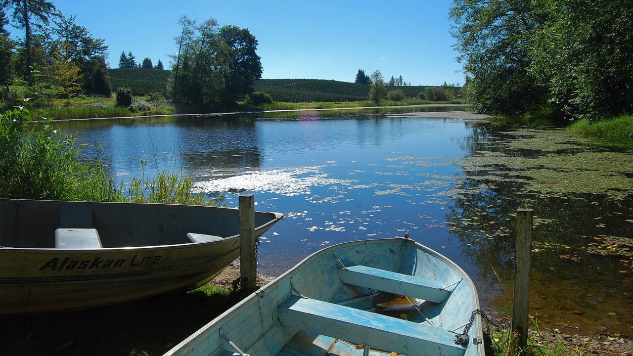 Photo of Others in Silver Creek