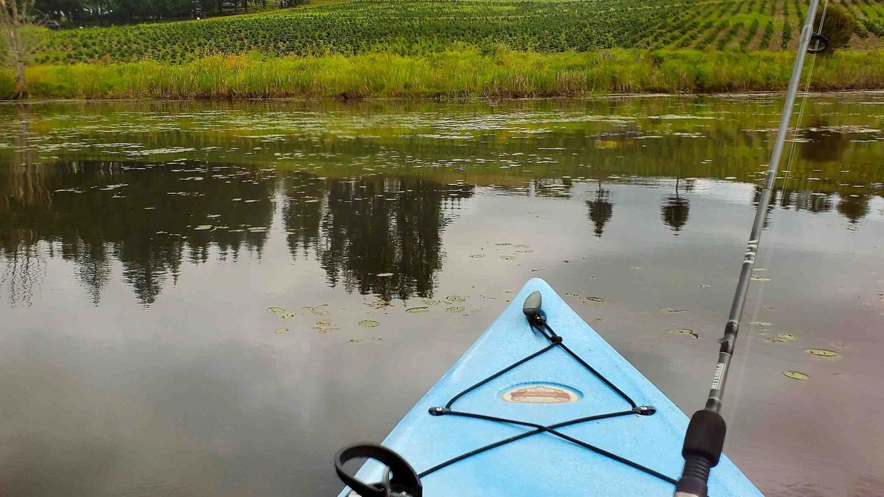 Photo of Others in Silver Creek