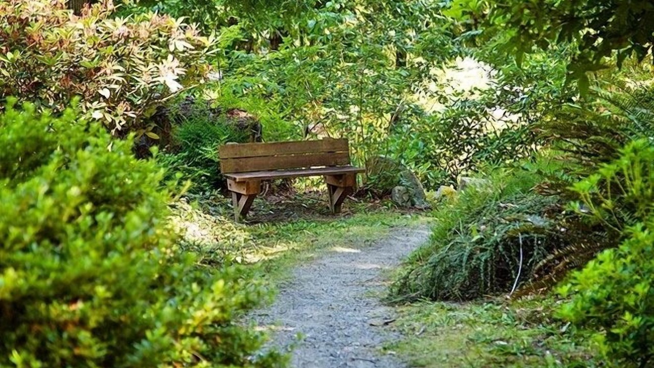 Photo of Outdoor in Fall City