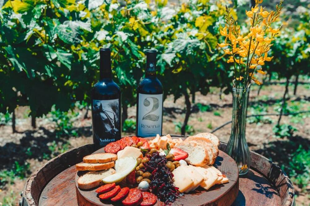 Photo of Others in Tecate