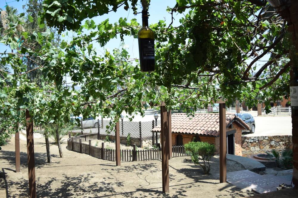 Photo of Outdoor in Tecate