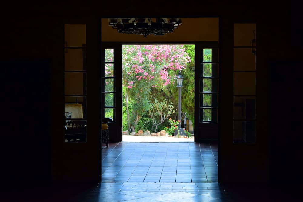 Photo of Others in Tecate