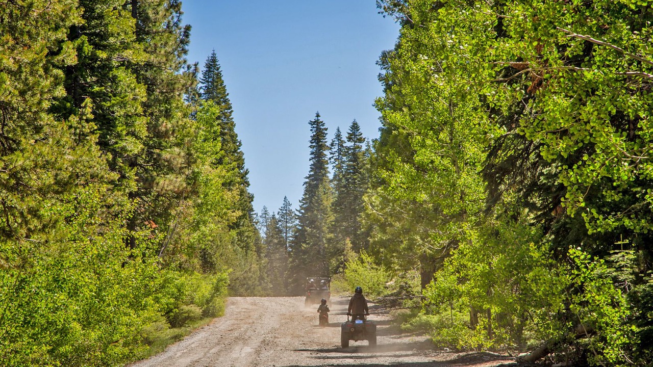 Photo of Outdoor in Emigrant Gap