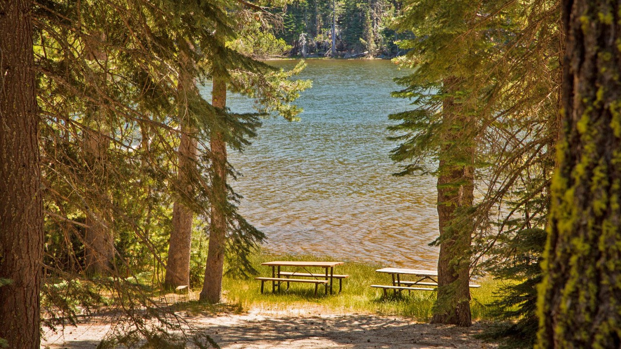 Photo of Others in Emigrant Gap