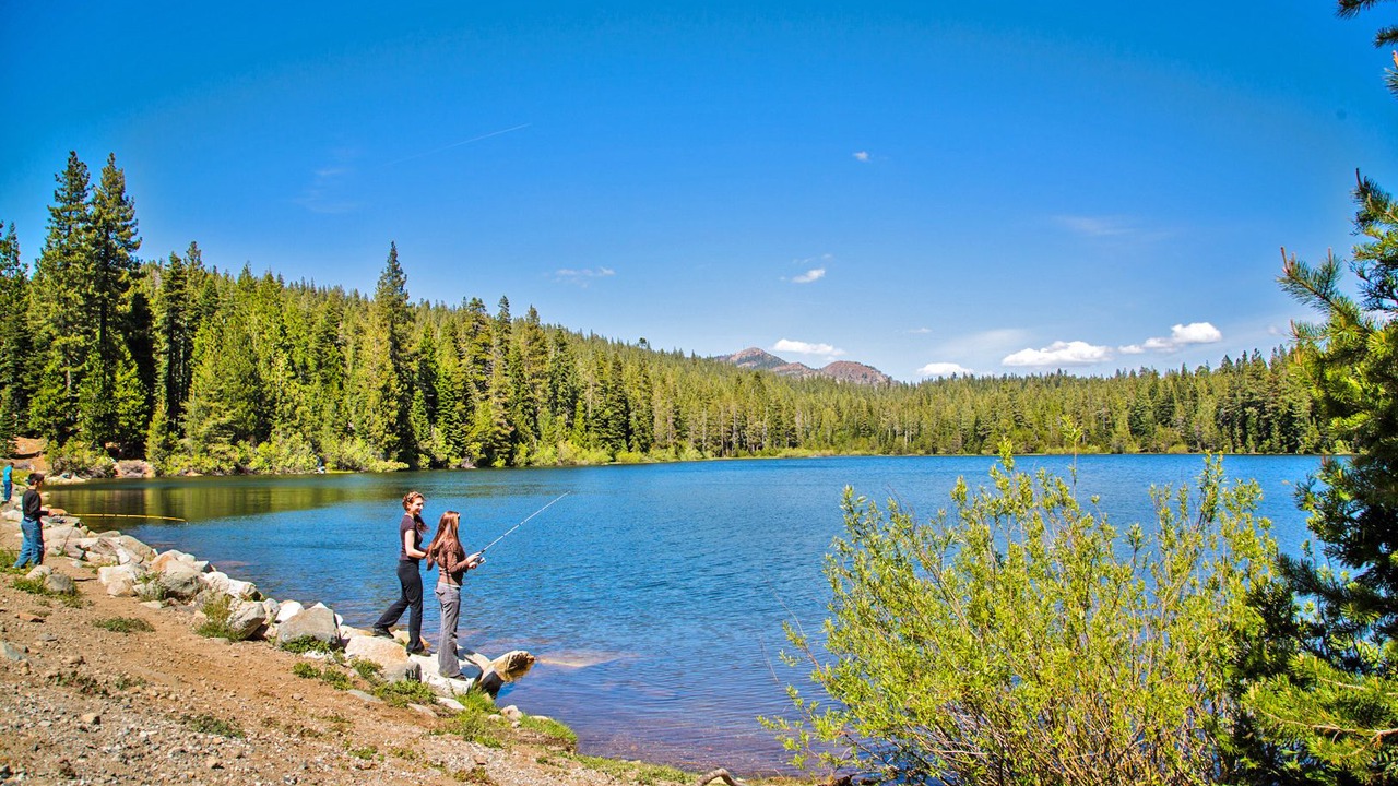 Photo of Others in Emigrant Gap
