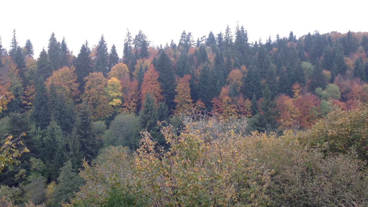 Photo of Outdoor in Jassat