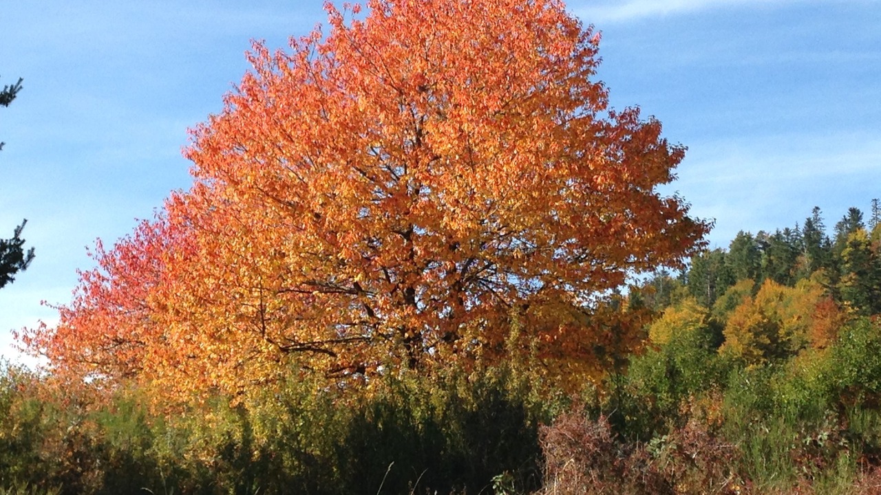 Photo of Outdoor in Jassat