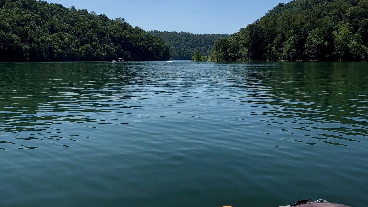 Photo of Others in Arthur