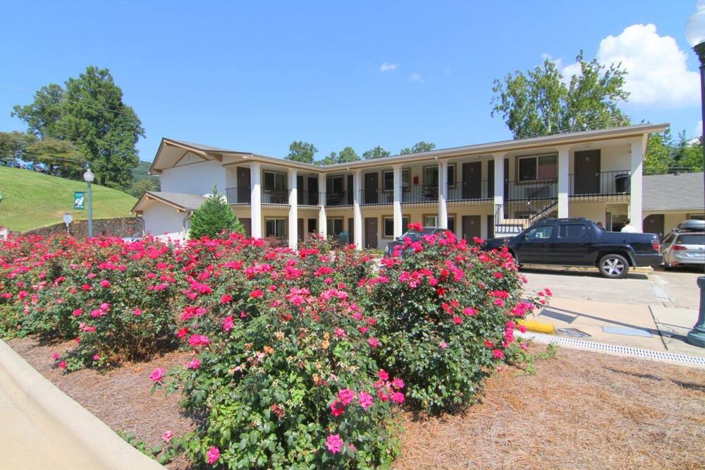 Photo of Outdoor in Sylva