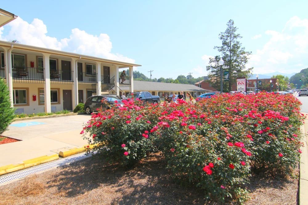 Photo of Outdoor in Sylva