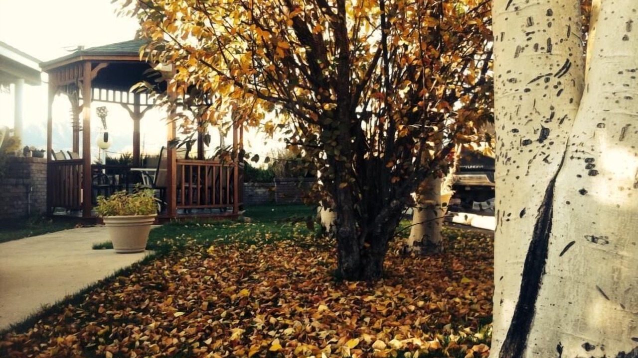 Photo of Outdoor in Bridgeport