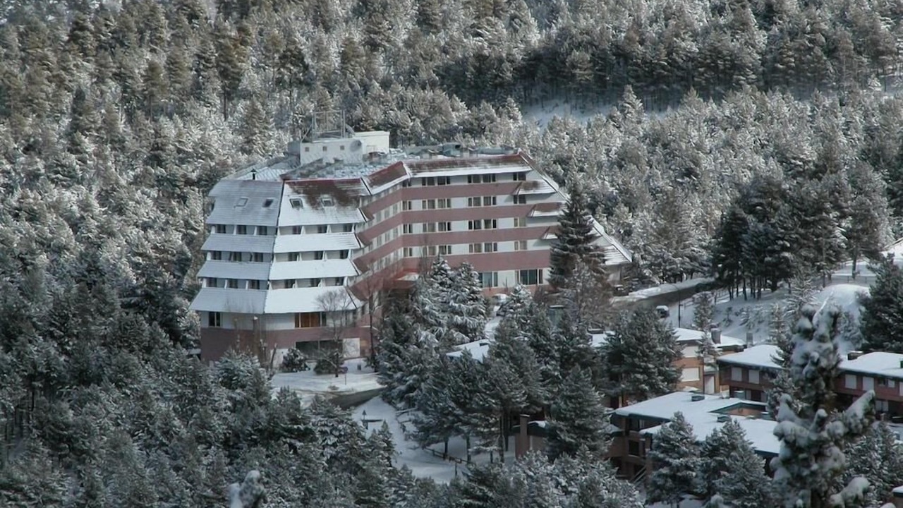 Photo of Outdoor in Alp