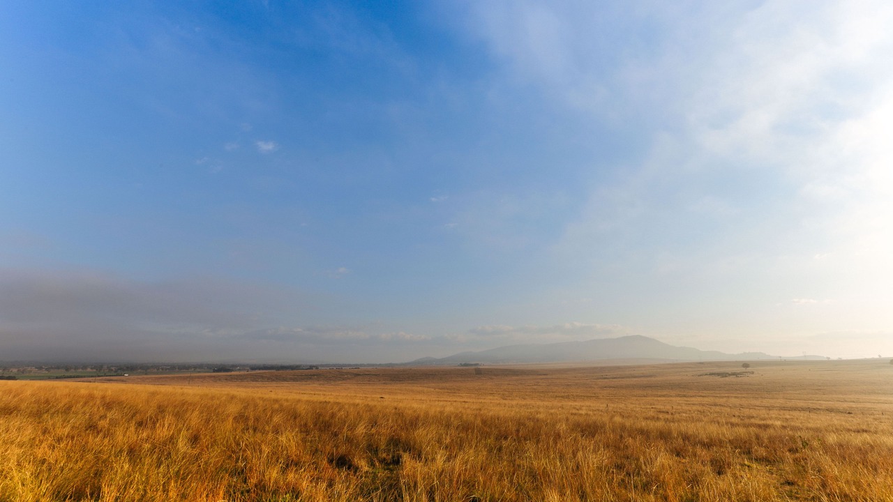Photo of Outdoor in Scone