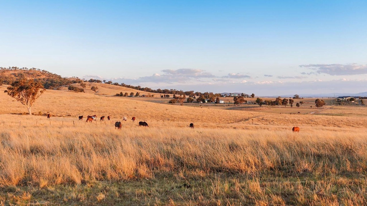 Photo of Outdoor in Scone
