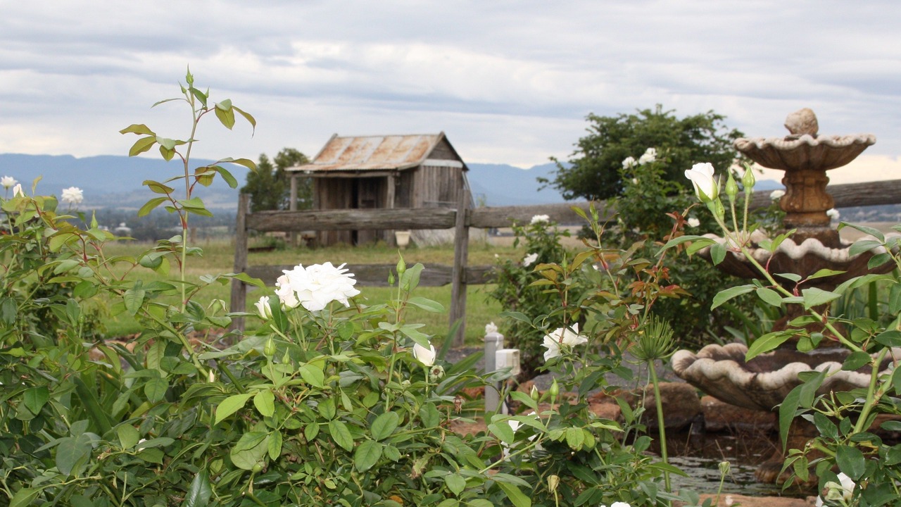 Photo of Outdoor in Scone