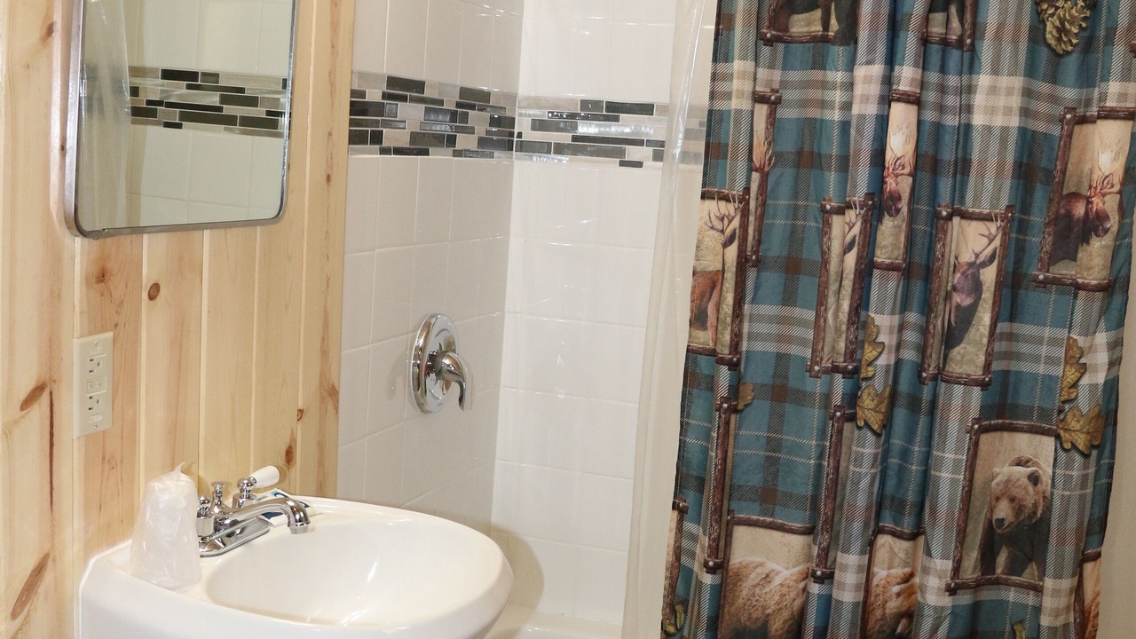 Photo of Bathroom in Wapiti