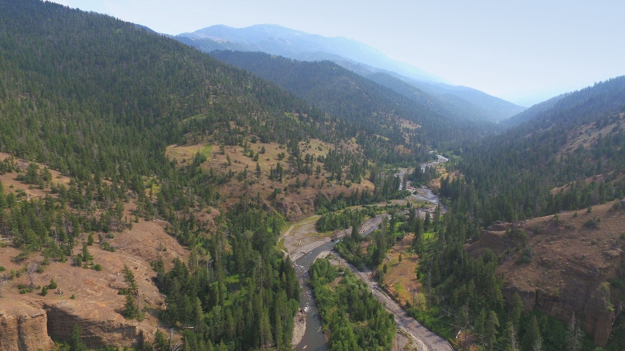 Photo of Outdoor in Wapiti