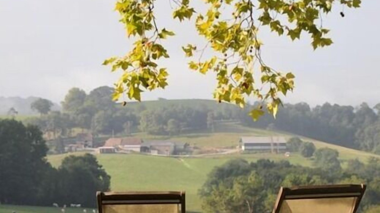 Photo of Others in Orion