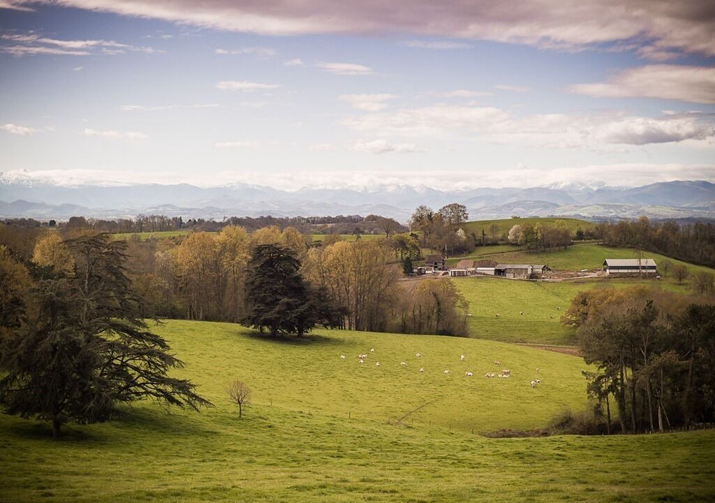 Photo of Others in Orion