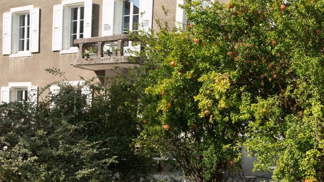 Photo of Outdoor in Saint-Peray