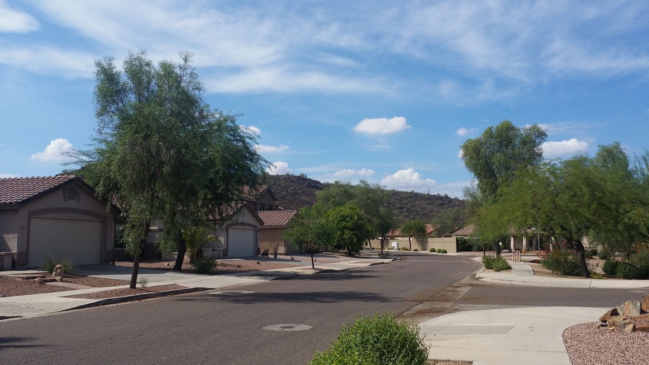 Photo of Others in Phoenix