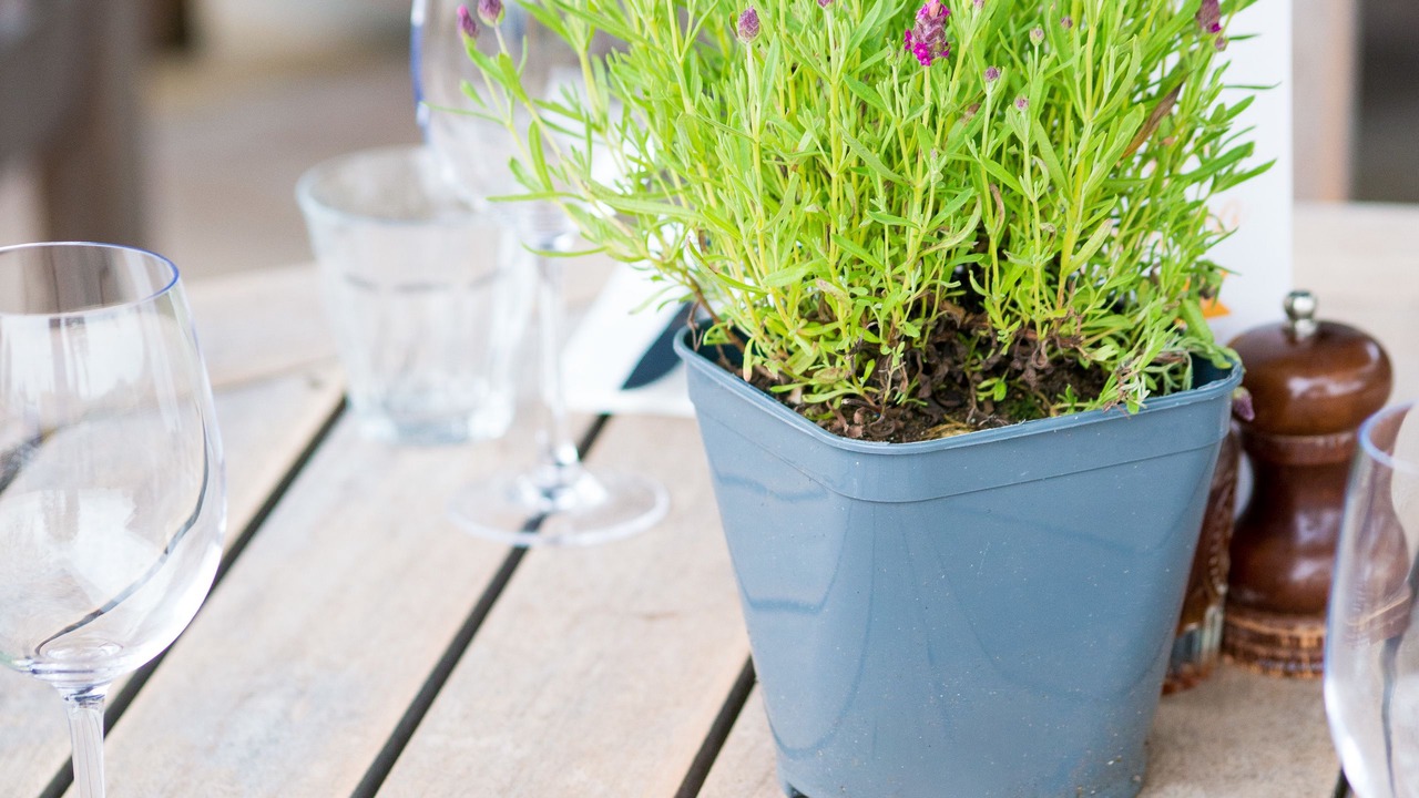 Photo of Outdoor in Preston