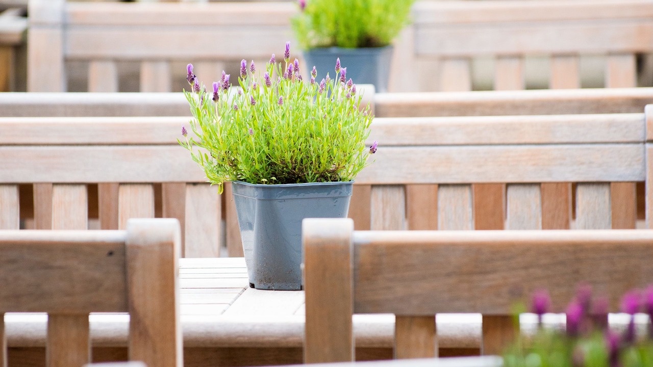 Photo of Patio Balcony in Preston