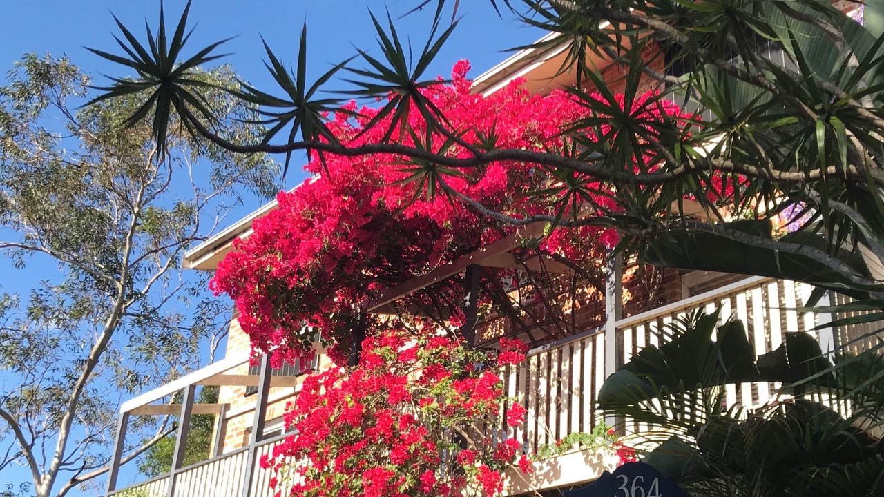 Photo of Outdoor in Linley Point