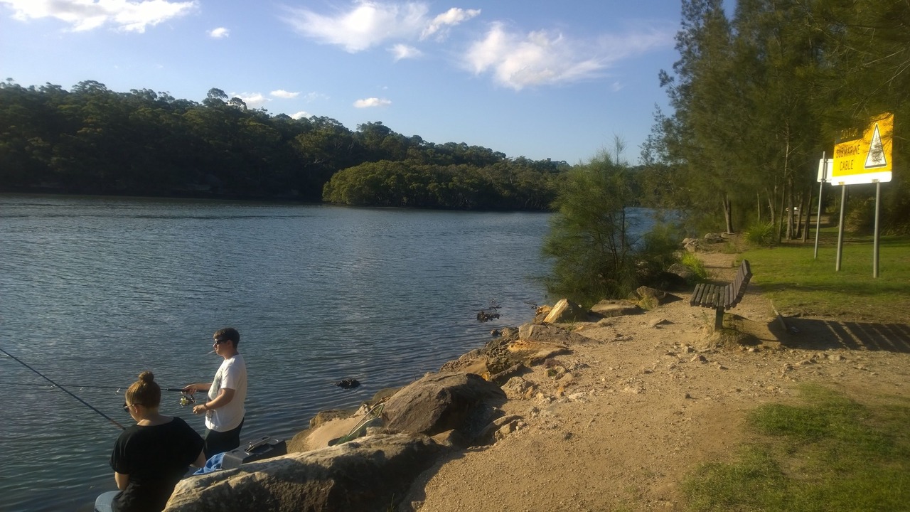 Photo of Outdoor in Linley Point