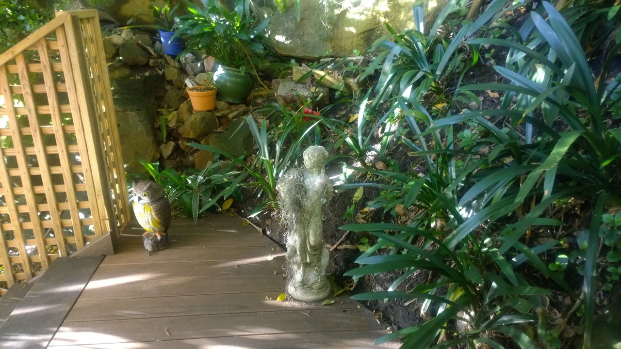 Photo of Outdoor in Linley Point