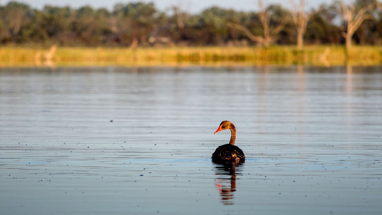 Photo of Others in Barmera