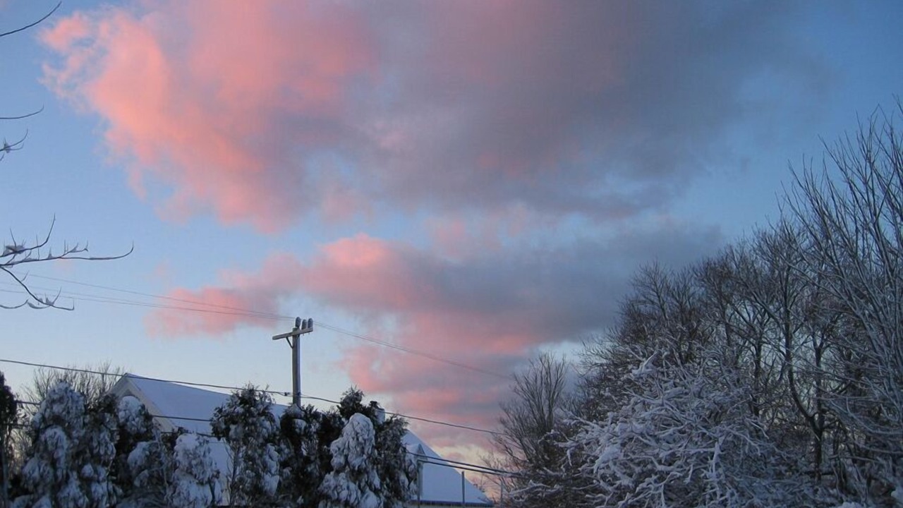 Photo of Others in Yarmouth Port