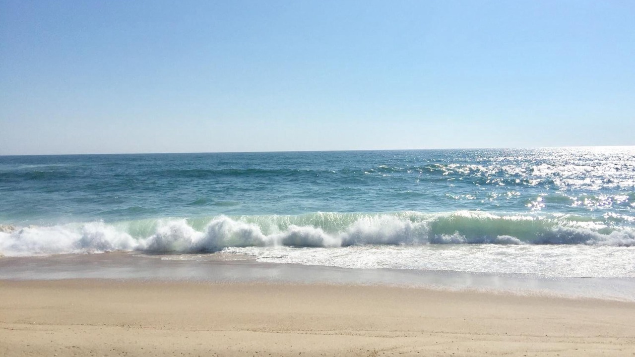 Photo of Others in Napeague