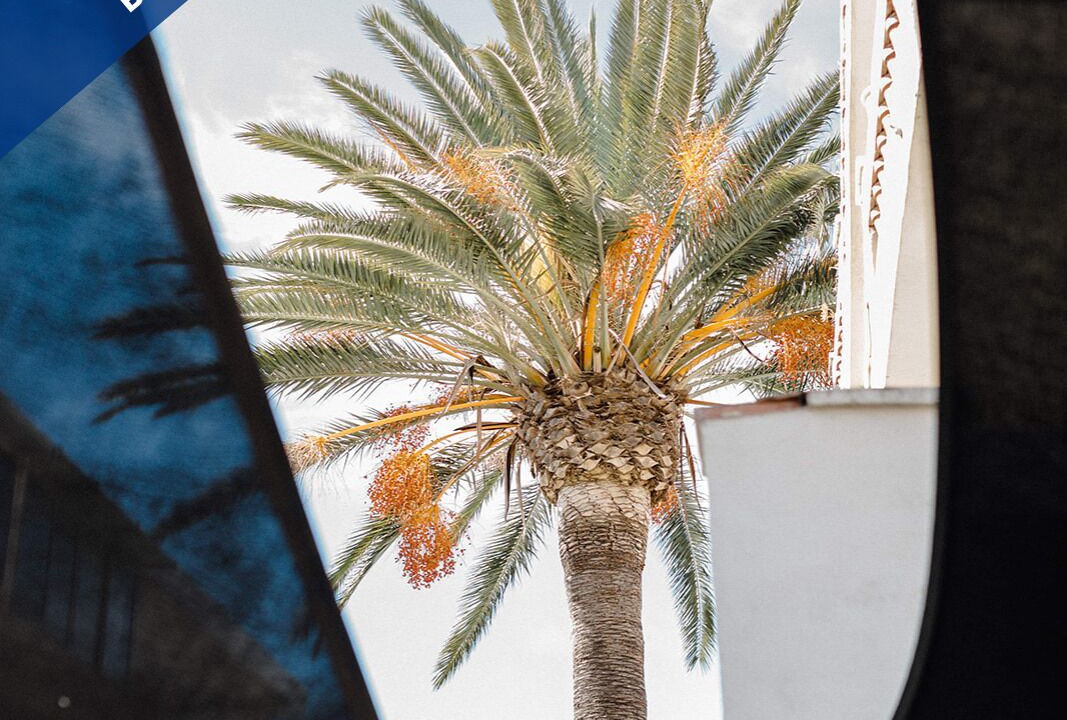 Photo of Outdoor in Le Mourillon