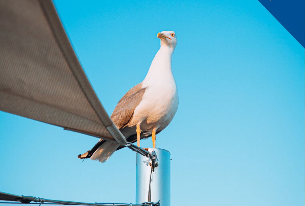 Photo of Outdoor in Le Mourillon