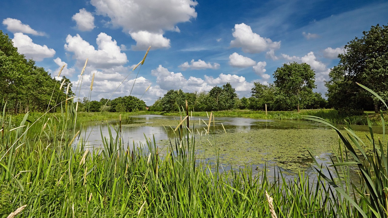 Photo of Outdoor in Vildbjerg