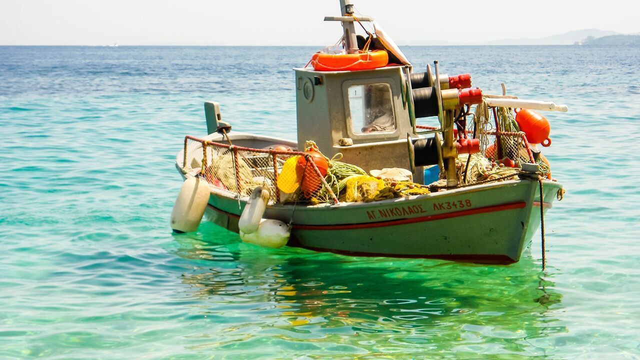 Photo of Others in Nisaki