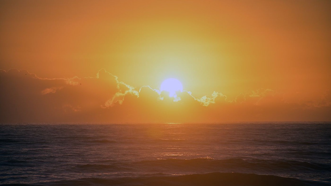 Photo of Others in Cocoa Beach